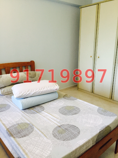 Blk 471 Choa Chu Kang Avenue 3 (Choa Chu Kang), HDB 4 Rooms #38420192